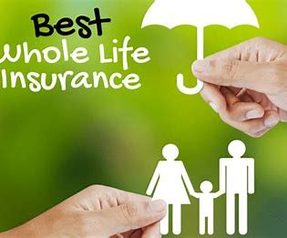 线上保险跟线下保险哪个更便宜 线上保险安全性高吗