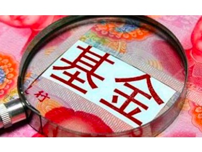 2024带你了解地方债基金【专业解读】