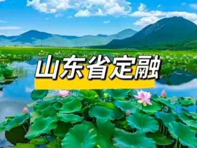 山东济宁、泰安、威海、日照、临沂、德州、聊城、滨州、菏泽定融产品发行与现状
